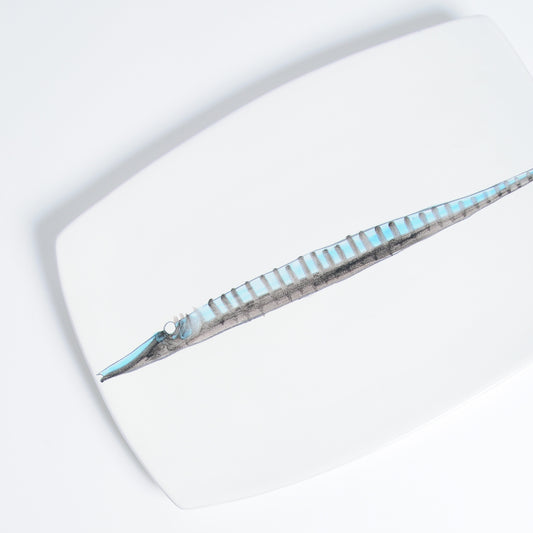 Barracuda sushi dish