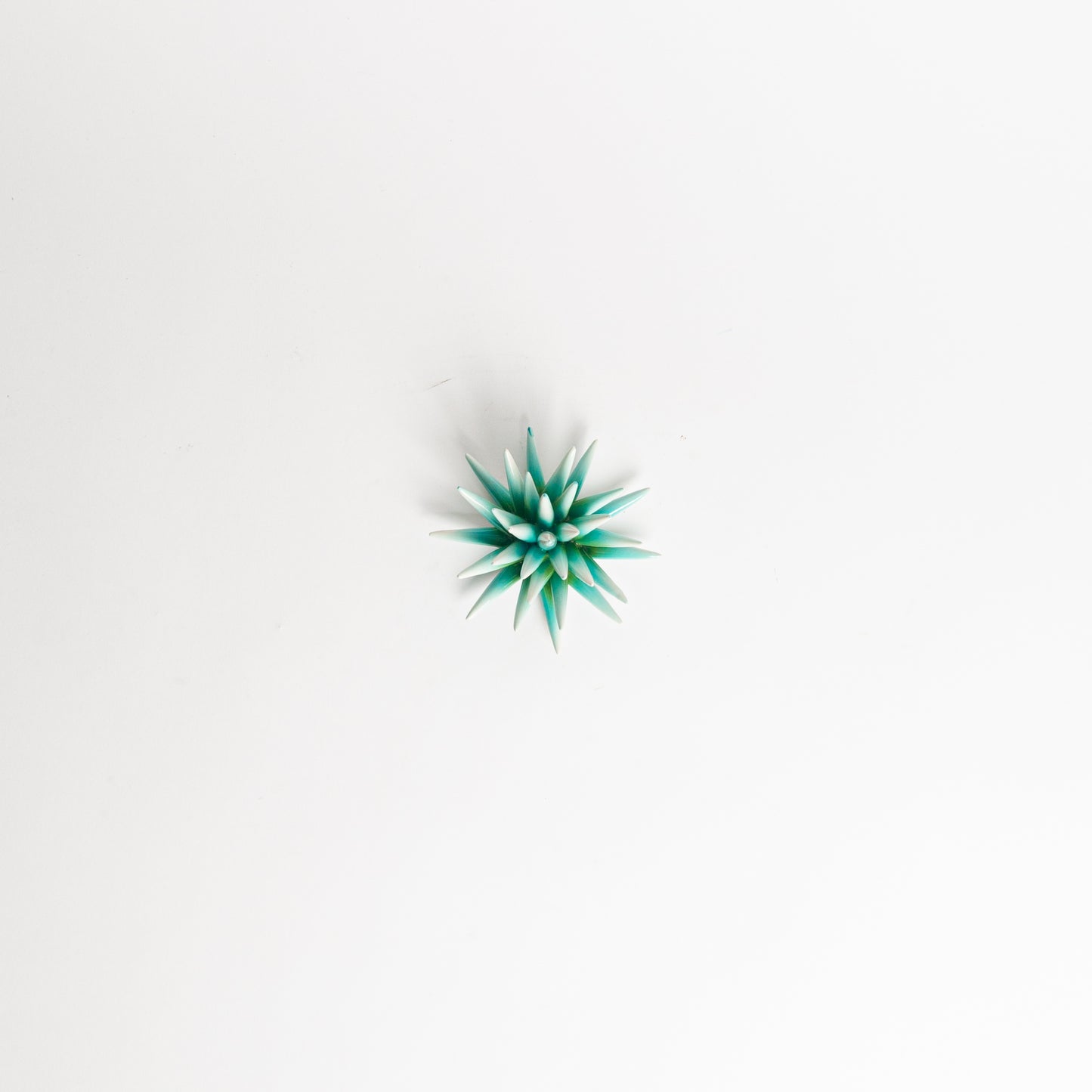 Riccio verde acqua