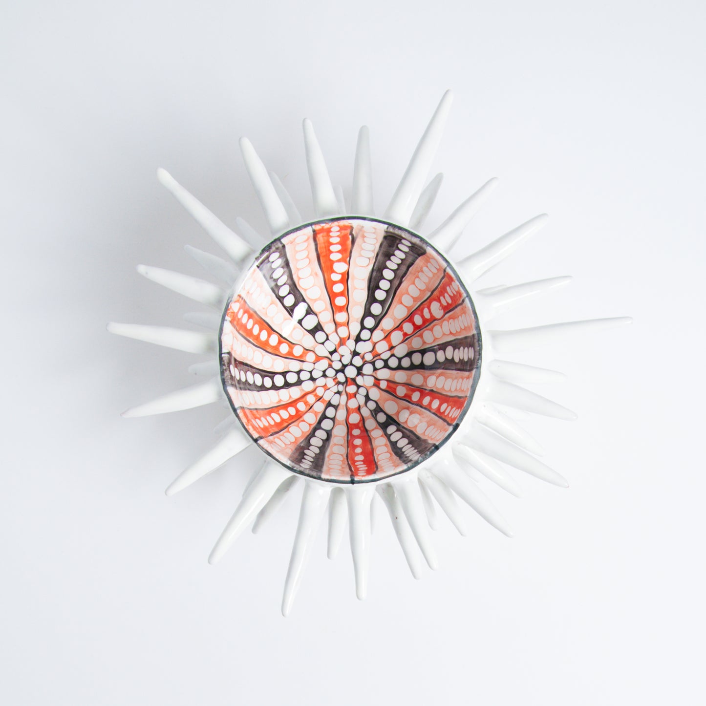 Bowl sea ​​urchin