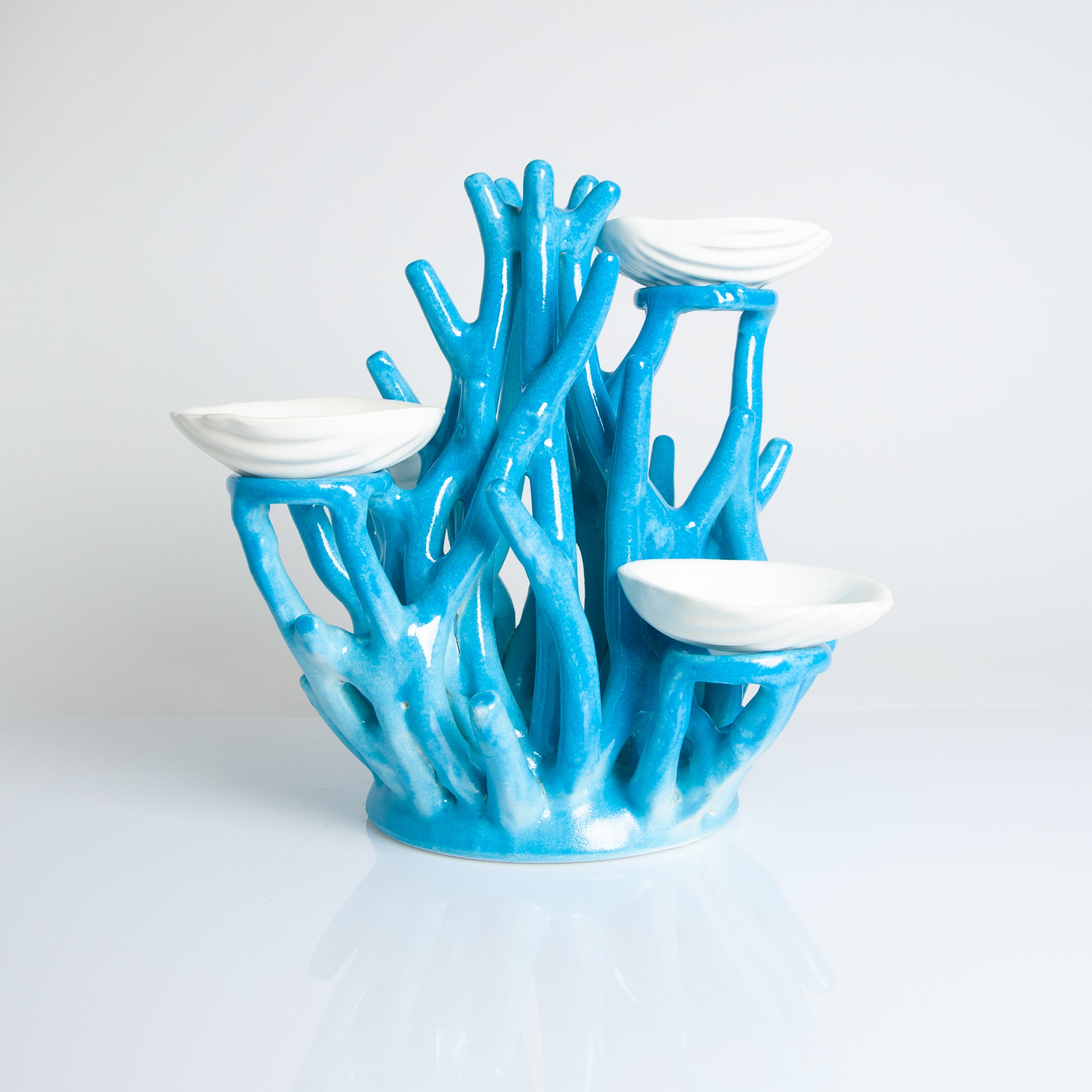 Coral with moving shells – Always Positano