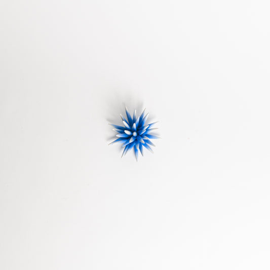 Riccio blu