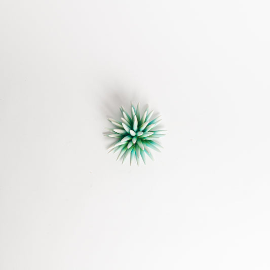 Riccio verde acqua